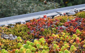 the cost of Wellesbourne green roof installation