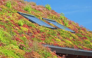 Wellesbourne living roof systems
